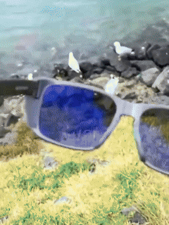 Plarized Vision Glasses
