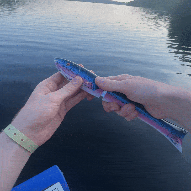 🐟🎣Innovative Fish-Shaped Telescopic Fishing Rod – Compact Mini Pocket Pole & Travel Gadget – Perfect Gift for Men, Dad & Husband 🎁✨
