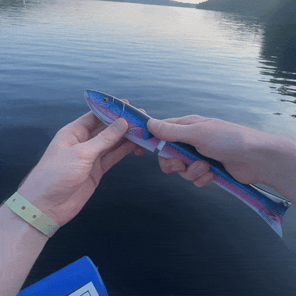 🐟🎣Innovative Fish-Shaped Telescopic Fishing Rod – Compact Mini Pocket Pole & Travel Gadget – Perfect Gift for Men, Dad & Husband 🎁✨