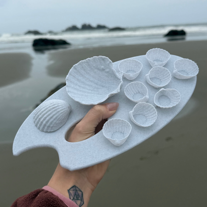 ✨ Sea Shell Painting Palette🐚