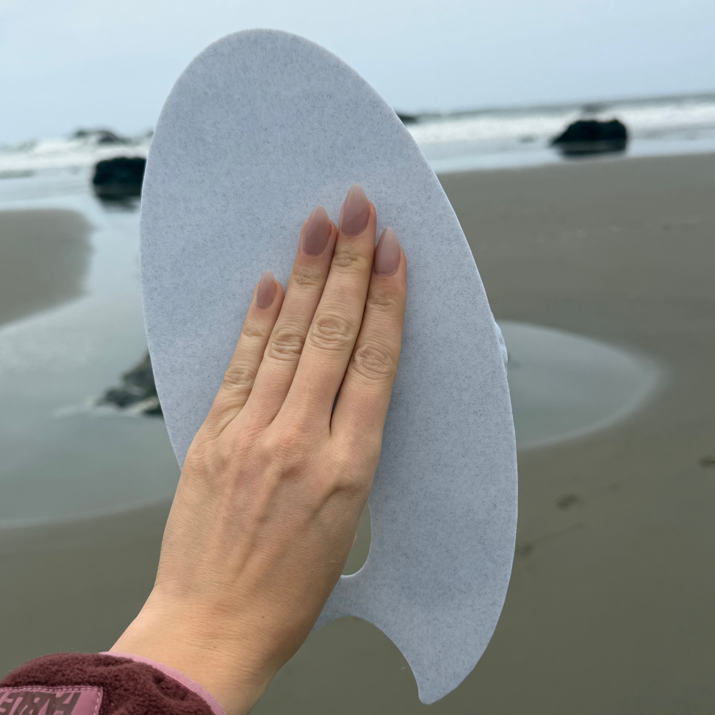 ✨ Sea Shell Painting Palette🐚