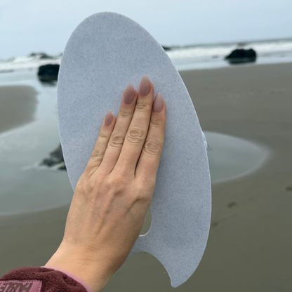 ✨ Sea Shell Painting Palette🐚