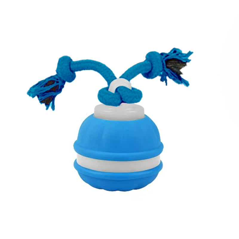 Smart Motion Pet Ball - Fur Buddy Friends