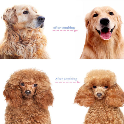🐾Professional hair removal tool for dogs and cats