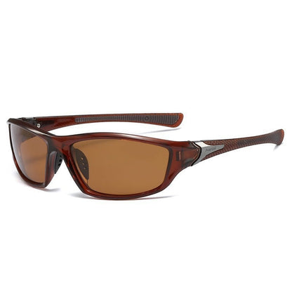Plarized Vision Glasses