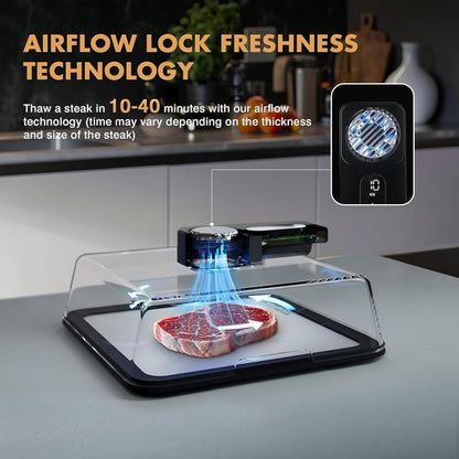 dailyard™Rechargeable Quick Defrosting Tray