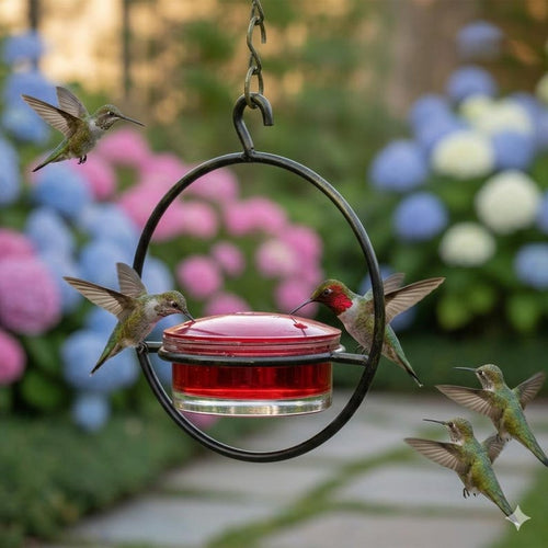 Modern Hummingbird Feeder - Circular Perch Nectar Dish - Outdoor Garden Hanging Decor - Unique Bird Lover Gift - Easy Fill Stackable Set 1-3