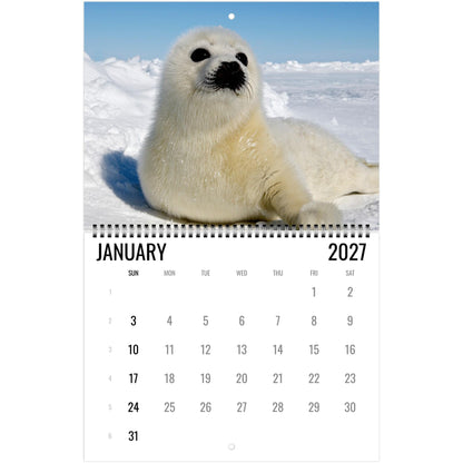 2027 Cute Seal Wall Calendar, Wildlife Ocean Animal Gift