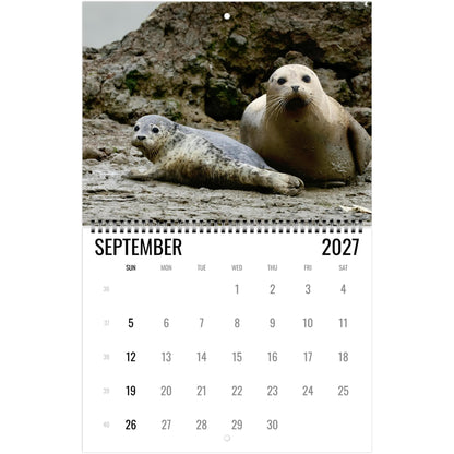 2027 Cute Seal Wall Calendar, Wildlife Ocean Animal Gift
