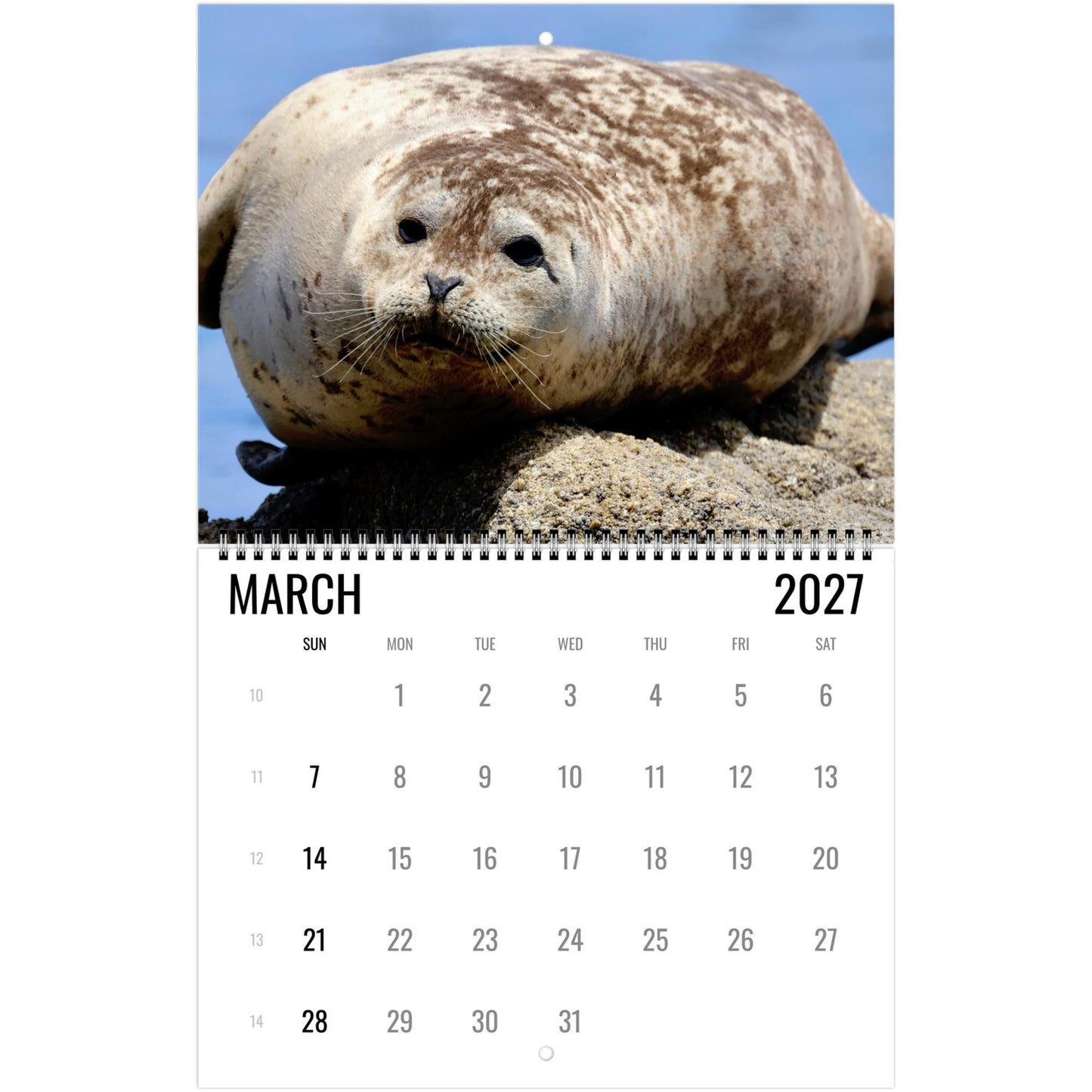 2027 Cute Seal Wall Calendar, Wildlife Ocean Animal Gift