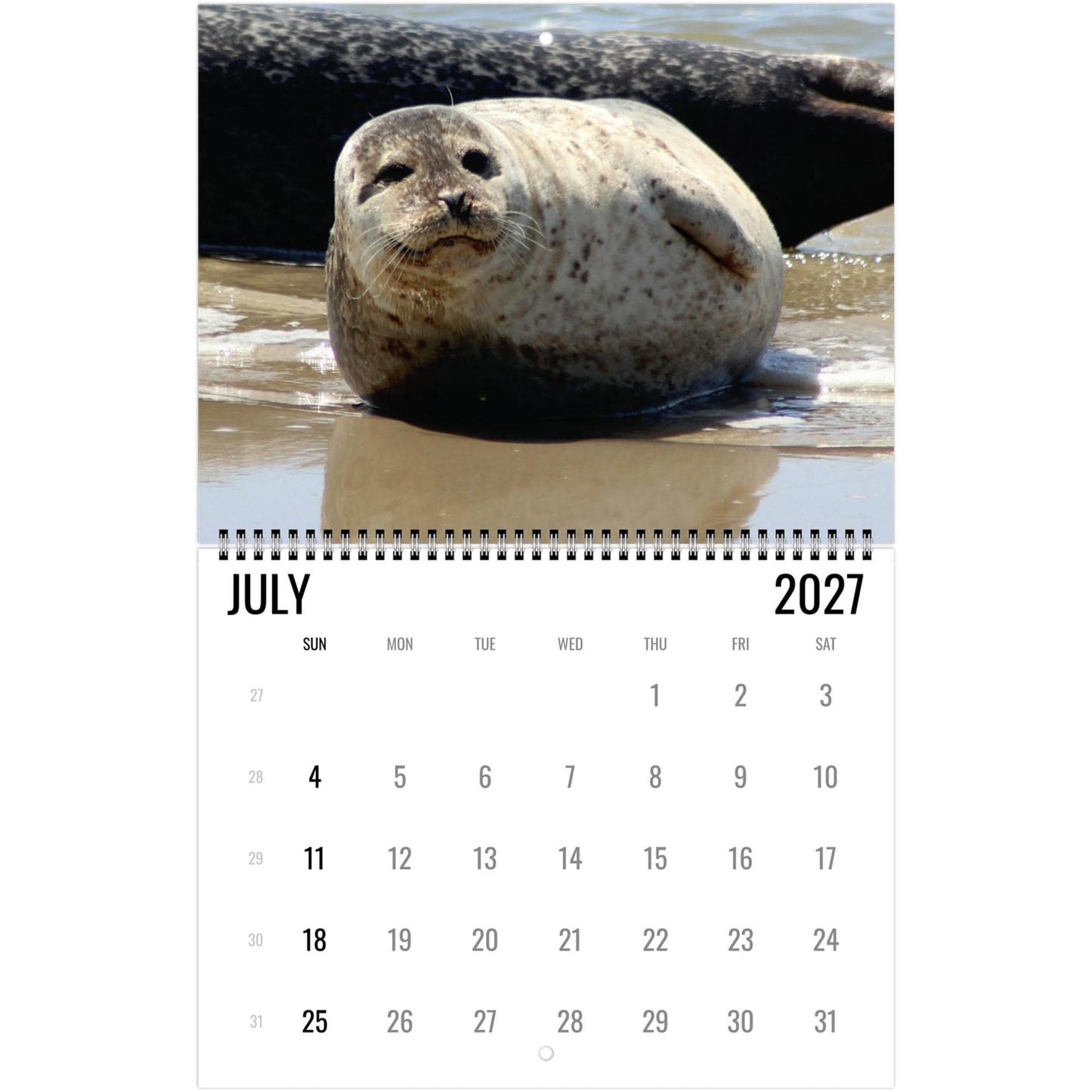 2027 Cute Seal Wall Calendar, Wildlife Ocean Animal Gift