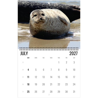 2027 Cute Seal Wall Calendar, Wildlife Ocean Animal Gift