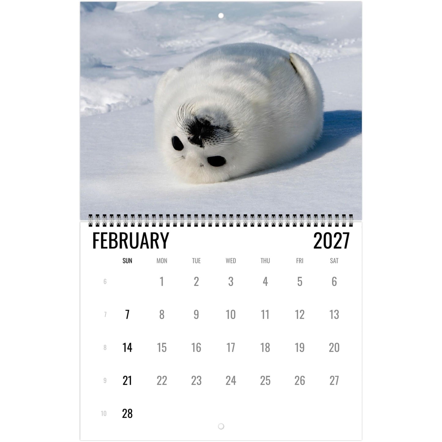 2027 Cute Seal Wall Calendar, Wildlife Ocean Animal Gift