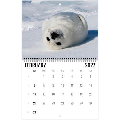 2027 Cute Seal Wall Calendar, Wildlife Ocean Animal Gift
