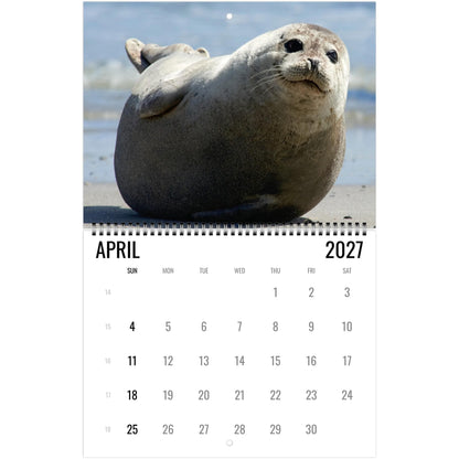 2027 Cute Seal Wall Calendar, Wildlife Ocean Animal Gift