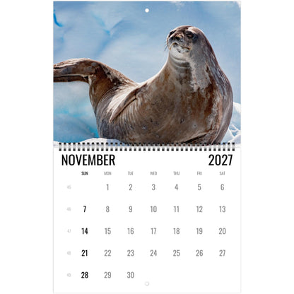 2027 Cute Seal Wall Calendar, Wildlife Ocean Animal Gift