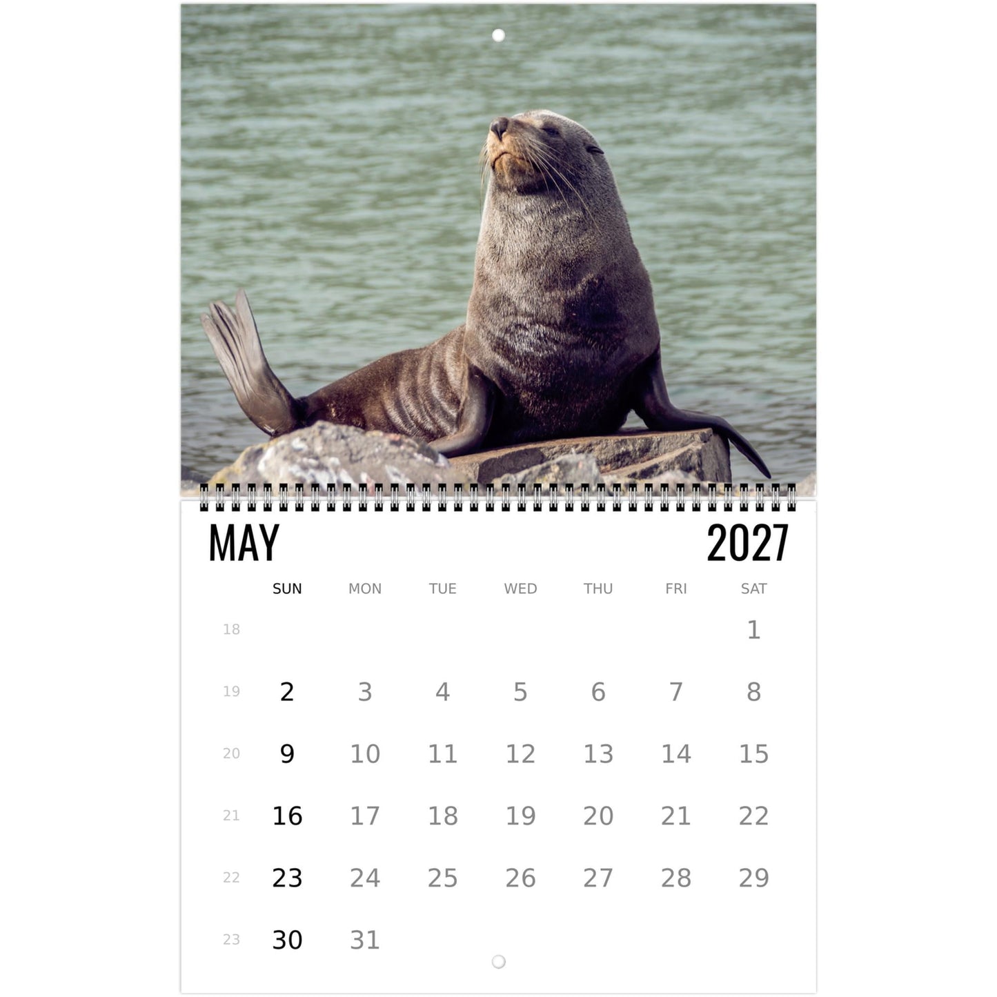 2027 Cute Seal Wall Calendar, Wildlife Ocean Animal Gift