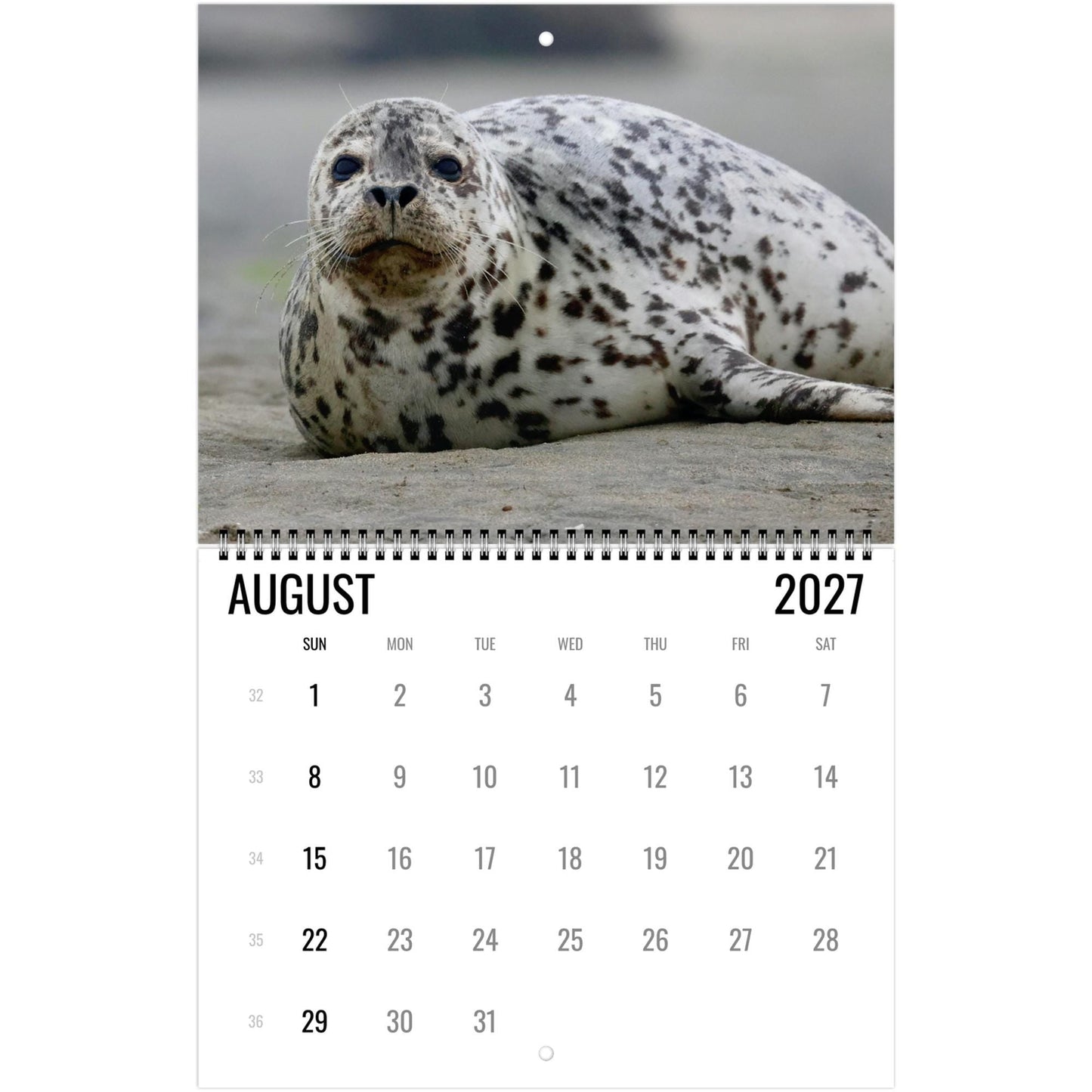 2027 Cute Seal Wall Calendar, Wildlife Ocean Animal Gift
