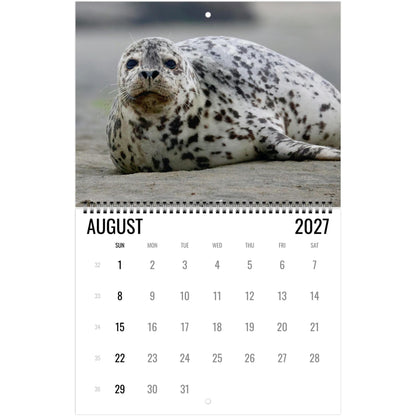 2027 Cute Seal Wall Calendar, Wildlife Ocean Animal Gift