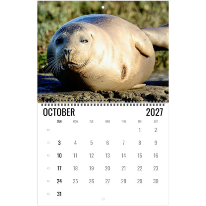 2027 Cute Seal Wall Calendar, Wildlife Ocean Animal Gift