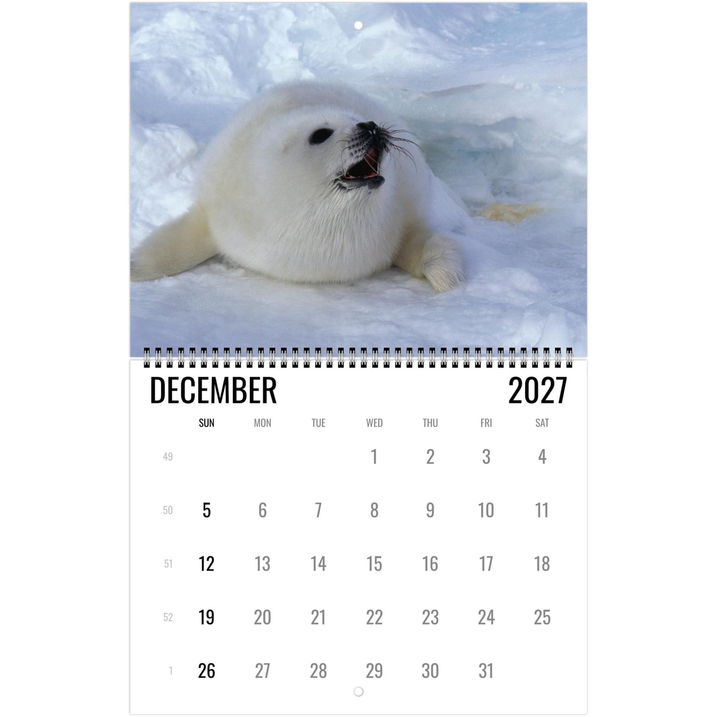 2027 Cute Seal Wall Calendar, Wildlife Ocean Animal Gift