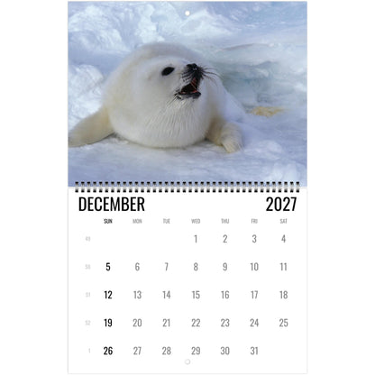 2027 Cute Seal Wall Calendar, Wildlife Ocean Animal Gift