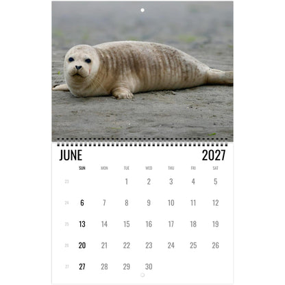 2027 Cute Seal Wall Calendar, Wildlife Ocean Animal Gift