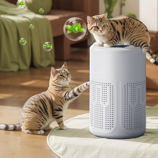 🌬️ 50% OFF! 🔥 Compact home air purifier – 2026 bestseller – Quiet, energy-efficient, and perfect for allergy sufferers, dust, and pet hair 🏠