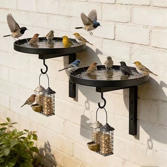📢📢40% OFF !!!⏰Wall-Mounted Metal Bird Bath – Antique Bronze Finish 🐦🛁🧱🏡