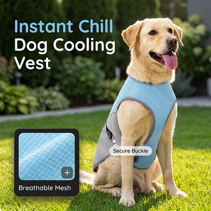🐶 48% OFF NOW! ☀️ Dog Cooling Vest Harness – Ice-silk fabric & adjustable – Keeps your pet cool in summer – perfect for walks, beach or travel 🐾🌊✨