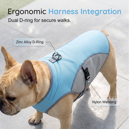 🐶 48% OFF NOW! ☀️ Dog Cooling Vest Harness – Ice-silk fabric & adjustable – Keeps your pet cool in summer – perfect for walks, beach or travel 🐾🌊✨