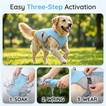 🐶 48% OFF NOW! ☀️ Dog Cooling Vest Harness – Ice-silk fabric & adjustable – Keeps your pet cool in summer – perfect for walks, beach or travel 🐾🌊✨