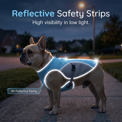 🐶 48% OFF NOW! ☀️ Dog Cooling Vest Harness – Ice-silk fabric & adjustable – Keeps your pet cool in summer – perfect for walks, beach or travel 🐾🌊✨