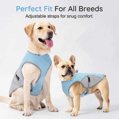 🐶 48% OFF NOW! ☀️ Dog Cooling Vest Harness – Ice-silk fabric & adjustable – Keeps your pet cool in summer – perfect for walks, beach or travel 🐾🌊✨