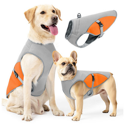 🐶 48% OFF NOW! ☀️ Dog Cooling Vest Harness – Ice-silk fabric & adjustable – Keeps your pet cool in summer – perfect for walks, beach or travel 🐾🌊✨